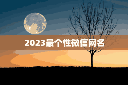 2023最个性微信网名